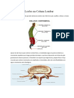 Lesões Na Coluna Lombar