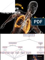 Fisiologia Respiratória: Profa. Rosi Paixão