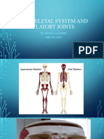 The Skeletal System and Articulatory Lab Joints