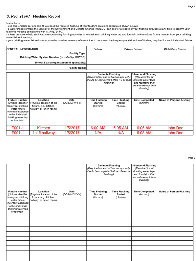 Flushing Record Template for Compliance | PDF