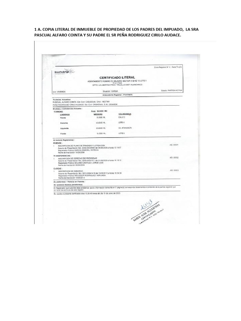 Anexo 1 A PDF
