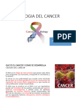 Oncologia Teorias