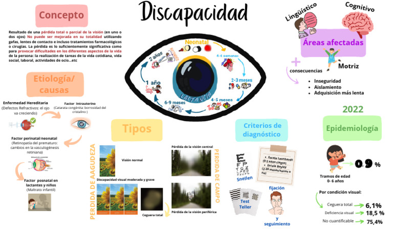 Causas y tipos de discapacidad visual | PDF | Discapacidad visual ...