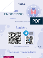 Sistema Endocrino SJ