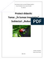 Proiect Didactic. Buburuza.