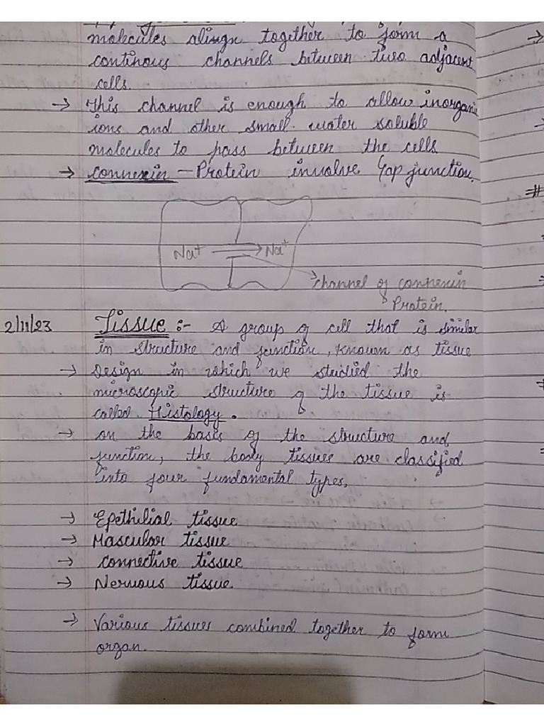 HAP Notes PDF | PDF