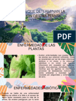 Factores Que Determinan La Infeccion de Una Planta4 3