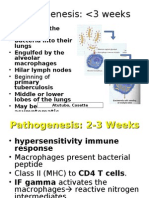 Tuberculosis2