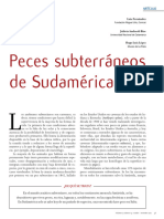 Peces Subterráneos de Sudamérica