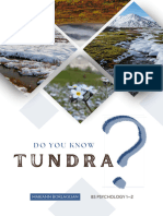 All About Tundra