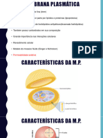 Membrana Plasmática e Parede Celular - 230317 - 154823