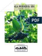 Aronia 101 The Basics