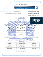 الا علانات الالكترونية الموجهة للمراة و تاثيرها على السلوك الاستهلاكي للطالبات الجامعية