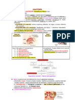 Anatomía y Fisiologia Pulmonar