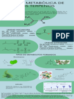 Ruta Metabolica de Los Terpenos