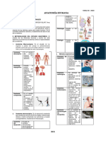 Anatomia