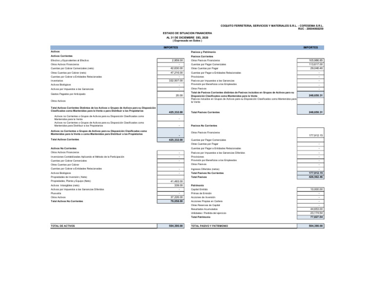 Estado de Situacion Financiera 2020 | PDF | Finanzas y dinero