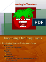 Genetic Engineering in Tomato