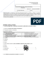 EVALUACION II SEMESTRAL CIENCIAS Quinto