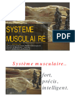 DR - ABDALLAH - Système Musculaire
