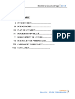 Rapport Preliminaire Virage Doucen