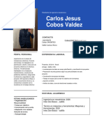 CV Carlos Cobos