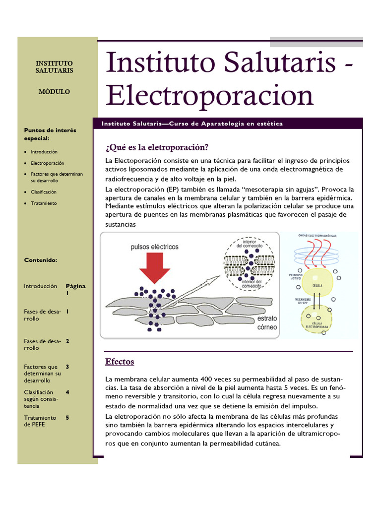 Electroporación PDF Bioquímica Química