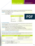 Port Foco 3 Manual Complet (Dragged)