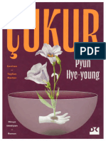 Pyun Hye-Young Çukur Doğan Kitap