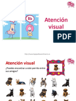 Atencio Visual Perros