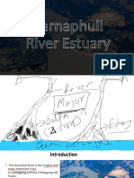 Topic 7 - Major Estuaries of BOB