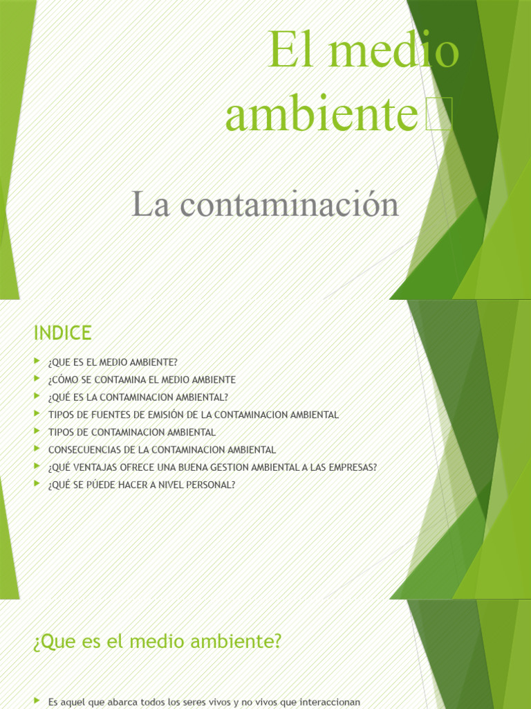 El Medio Ambiente | PDF | Contaminación | Entorno natural