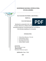 Produccion de Pastos Forrajerros-Botón de Oro y Cuba 22-Extension y Promocion Agraria