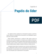 Papeis Do Lider