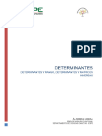 Tema 4. Determinantes (Segunda Parte)