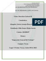 Ensayo - Inspección General Del Trabajo - Elda Mejia