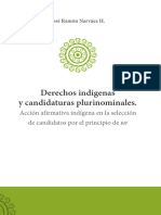 Derechos Indígenas y Candidaturas