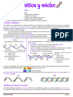 04 Genetica y Núcleo