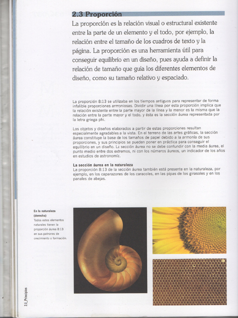 Layout and Composition | PDF