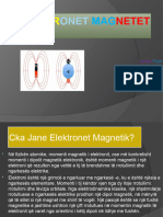 Elektronet Magne