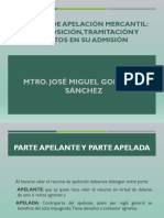 Apelacion, Interposicion, Tramitación y Efectos (Materia Mercantil)