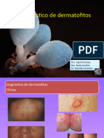 (6 7) Dermatofitos