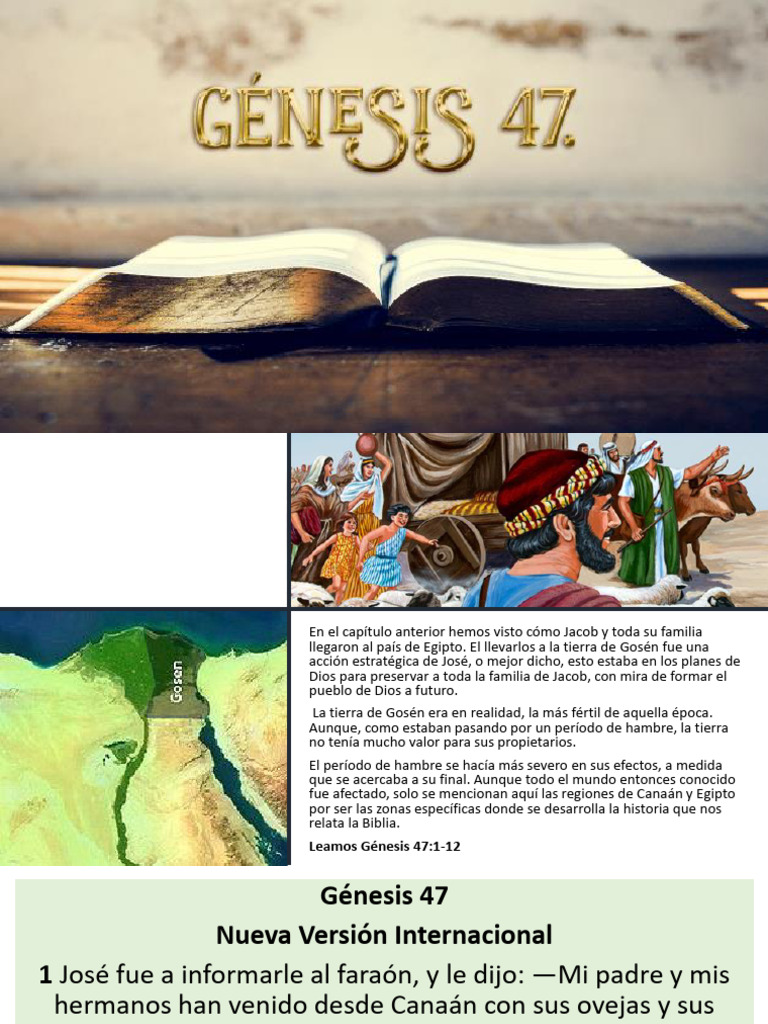 Genesis 37 47 Summary