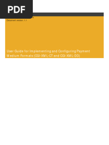 Payment Formats - User Guide 1.1