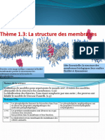 Theme 1.3 - La Structure Des Membranes