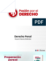 Derecho Penal - Rosario Palacios PDF Gratis