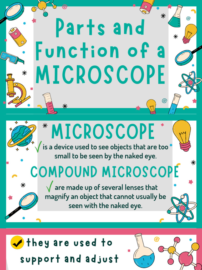 OIO Microscope Components Explained | PDF | Career & Growth | Wellness