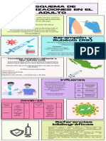 Esquena de Inmunizaciones en El Adulto