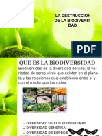 BIODIVERSIDAD