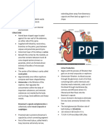 Excretory System